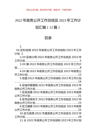 2022年政务公开工作总结及2023年工作计划汇编（12篇）.docx