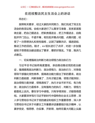 在巡视整改民主生活会上的讲话.docx