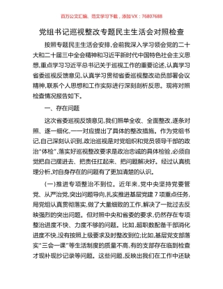 党组书记巡视整改专题民主生活会对照检查.docx