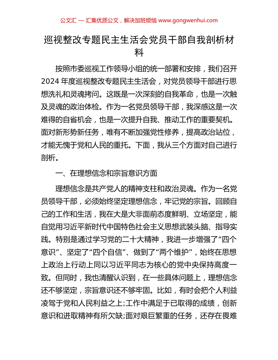 巡视整改专题民主生活会党员干部自我剖析材料 (2).docx_第1页