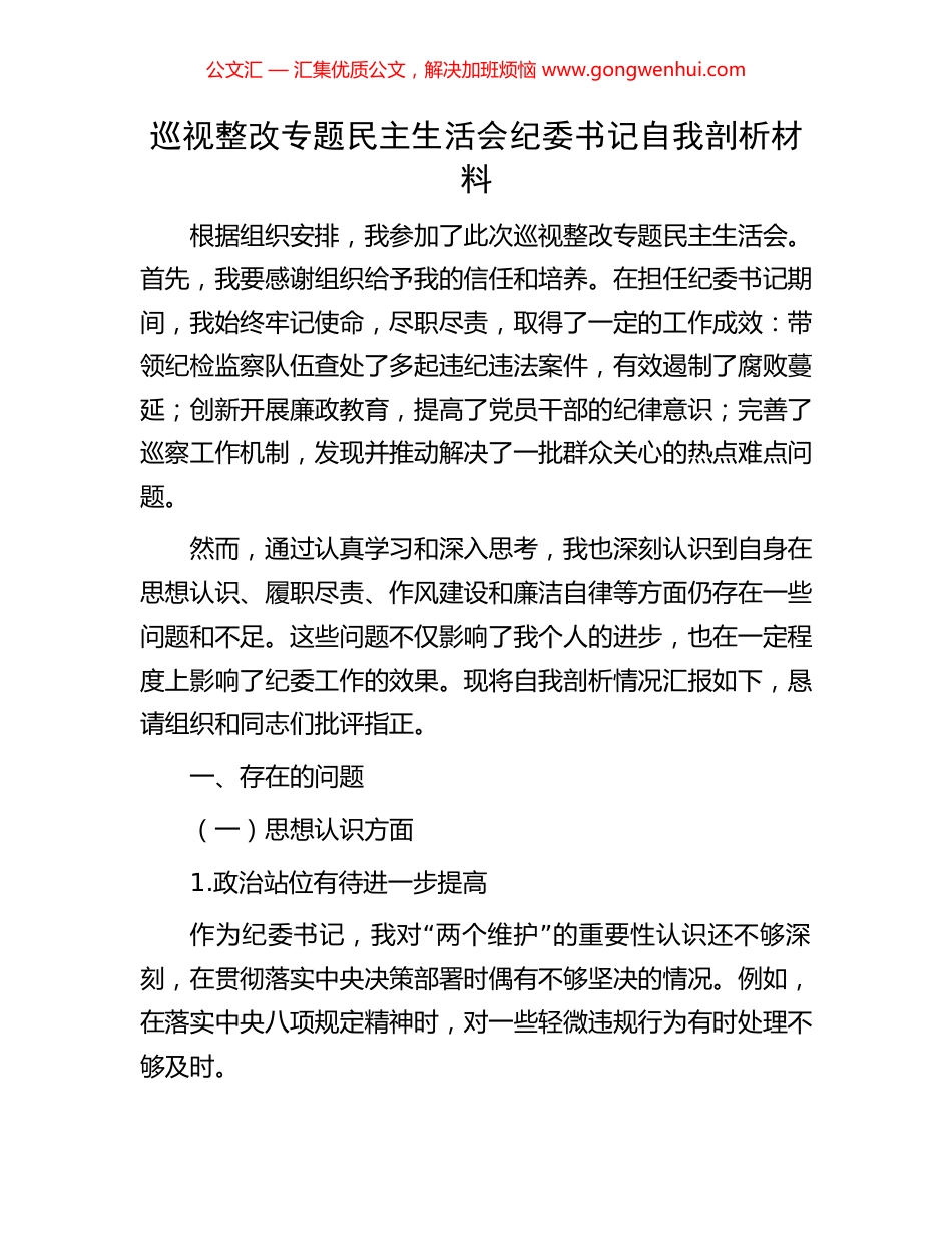 巡视整改专题民主生活会纪委书记自我剖析材料.docx_第1页