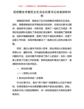 巡视整改专题民主生活会纪委书记自我剖析材料.docx