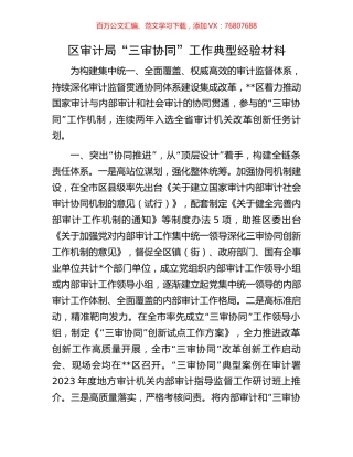区审计局“三审协同”工作典型经验材料.docx