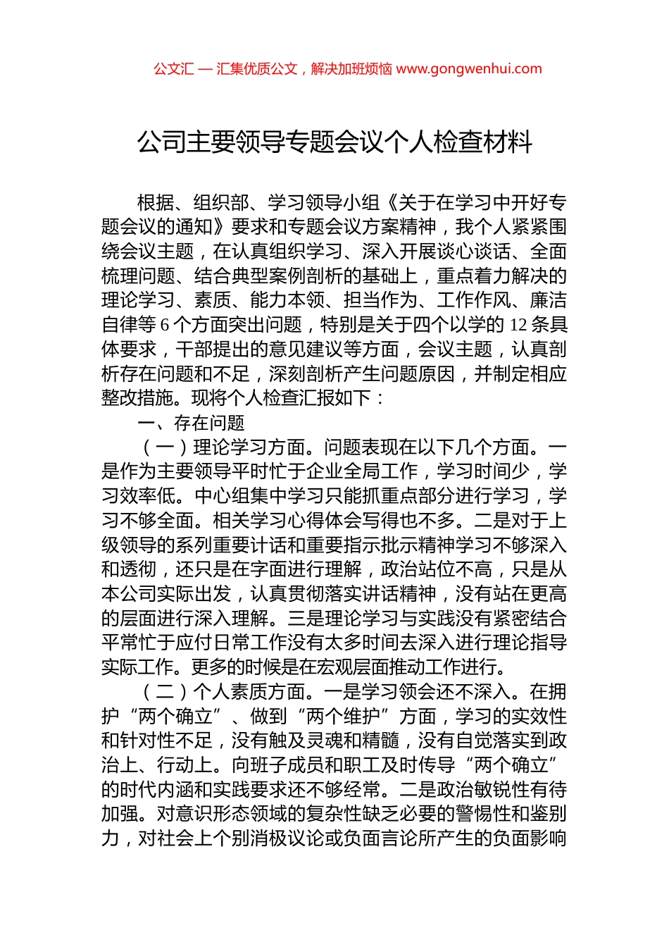 公司主要领导专题会议个人检查材料.docx_第1页