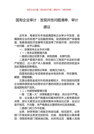 国有企业审计：发现共性问题清单、审计建议.docx