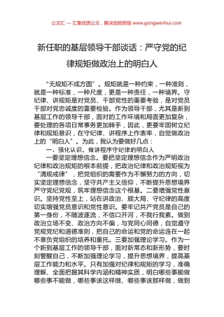 新任职的基层领导干部谈话：严守党的纪律规矩做政治上的明白人.docx