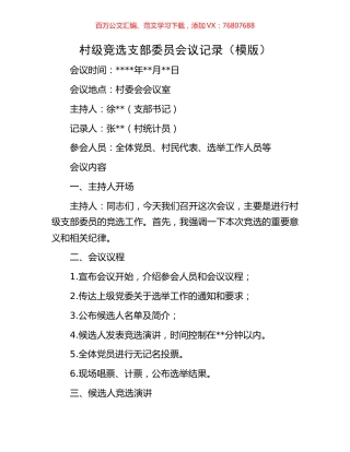 村级竞选支部委员会议记录（模版）.docx