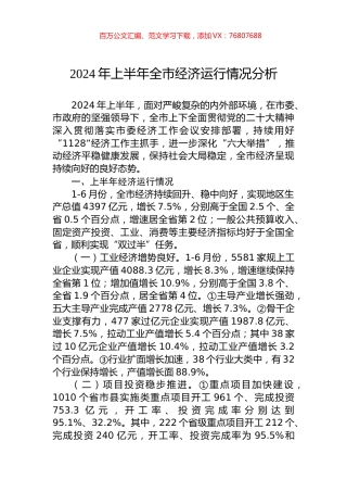 2024年上半年全市经济运行情况分析.docx