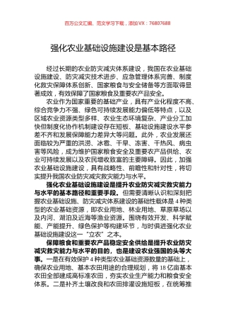 强化农业基础设施建设是基本路径.docx