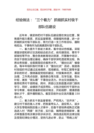 经验做法：“三个着力”抓细抓实村级干部队伍建设.docx