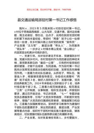 县交通运输局派驻村第一书记工作感悟.docx