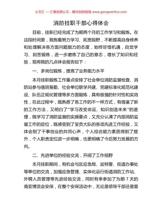 消防挂职干部心得体会.docx
