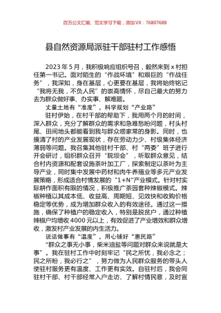 县自然资源局派驻干部驻村工作感悟.docx