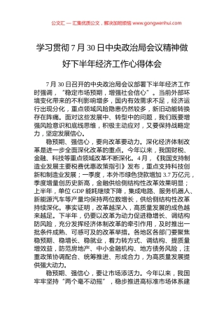 学习贯彻7月30日中央政治局会议精神做好下半年经济工作心得体会.docx