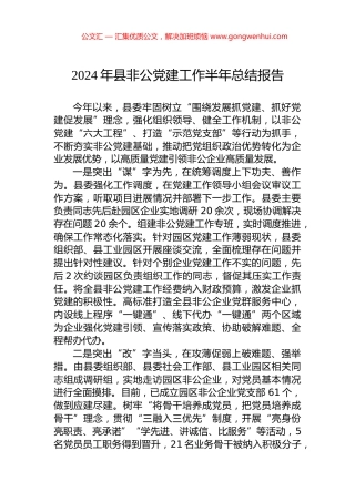 2024年县非公党建工作半年总结报告.docx