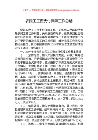 农民工工资支付保障工作总结.docx