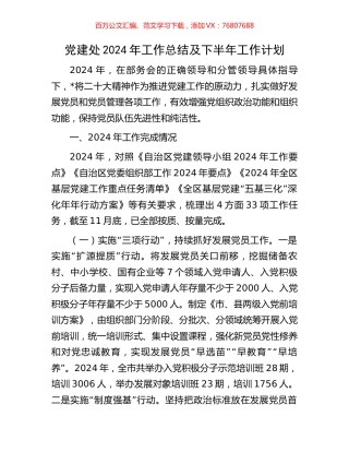 党建处2024年工作总结及下半年工作计划.docx