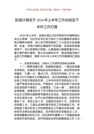 区统计局关于2024年上半年工作总结及下半年工作打算.docx