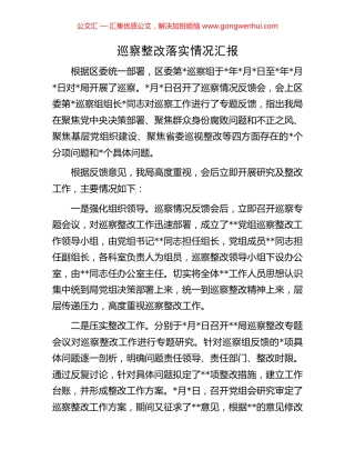 巡察整改落实情况汇报 (2).docx