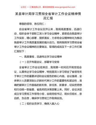 某县审计局学习贯彻全省审计工作会议精神情况汇报 (2).docx