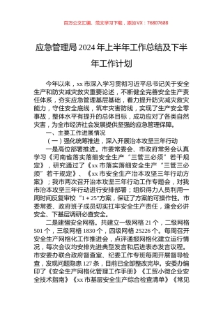 应急管理局2024年上半年工作总结及下半年工作计划.docx