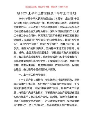 镇2024上半年工作总结及下半年工作计划.docx