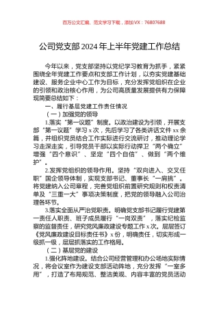 公司党支部2024年上半年党建工作总结.docx