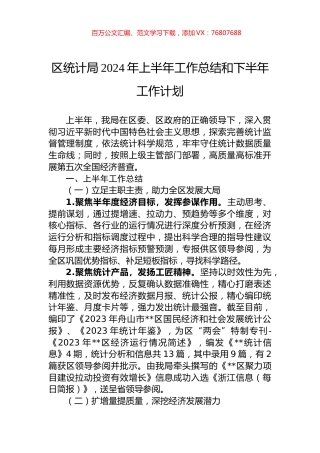 区统计局2024年上半年工作总结和下半年工作计划.docx