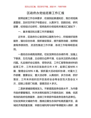 区政府办党组巡察工作汇报.docx