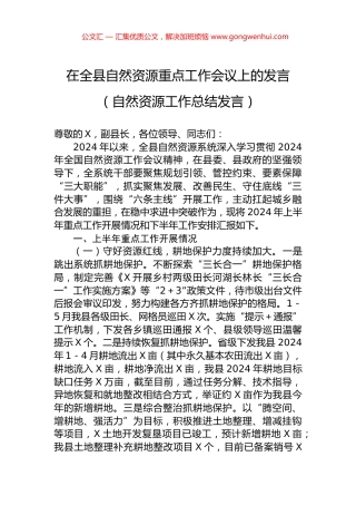 在全县自然资源重点工作会议上的发言（自然资源工作总结发言）.docx