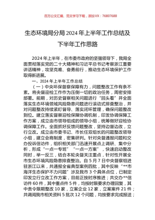 生态环境局分局2024年上半年工作总结及下半年工作思路.docx