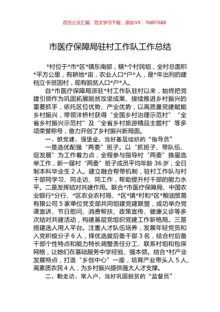市医疗保障局驻村工作队工作总结.docx