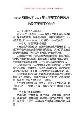 xxxxx有限公司2024年上半年工作进展总结及下半年工作计划.docx
