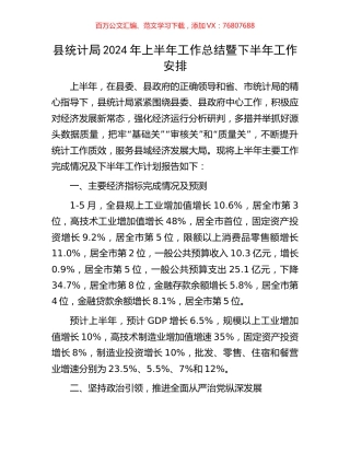 县统计局2024年上半年工作总结暨下半年工作安排.docx