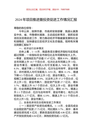 2024年项目推进暨投资促进工作情况汇报.docx