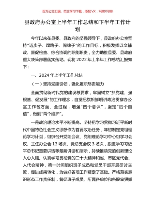 县政府办公室上半年工作总结和下半年工作计划.docx