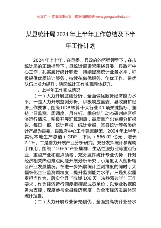 某县统计局2024年上半年工作总结及下半年工作计划.docx