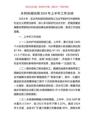 水利和湖泊局2024年上半年工作总结.docx