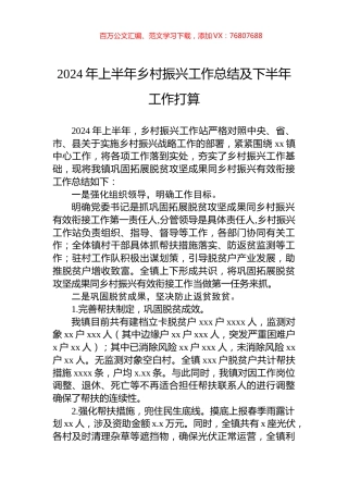 2024年上半年乡村振兴工作总结及下半年工作打算.docx