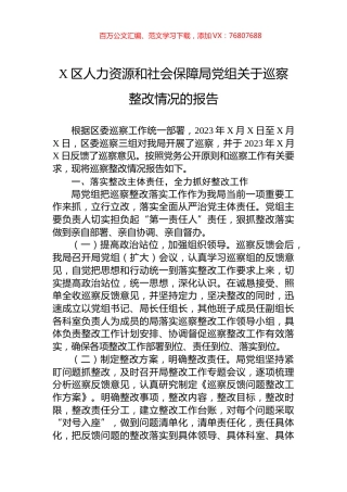 X区人力资源和社会保障局党组关于巡察整改情况的报告.docx