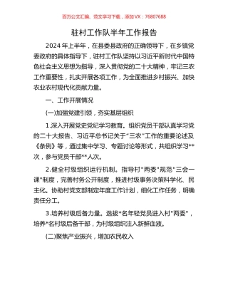 驻村工作队半年工作报告.docx