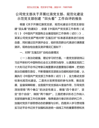 公司党支部关于开展红旗党支部、规范化建设示范党支部创建“回头看”工作自评的报告.docx