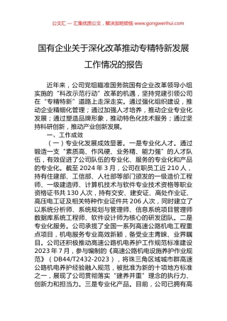 国有企业关于深化改革推动专精特新发展工作情况的报告.docx