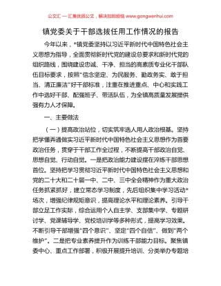 镇党委关于干部选拔任用工作情况的报告 (2).docx