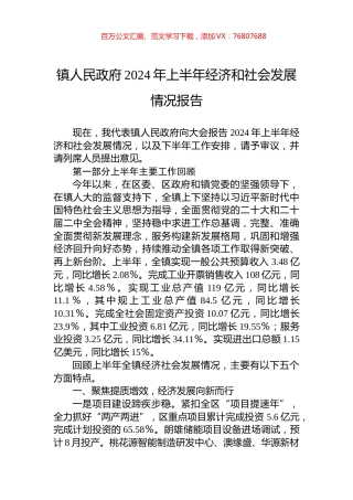 镇人民政府2024年上半年经济和社会发展情况报告.docx