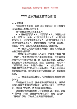 XXX巡察党建工作情况报告.docx