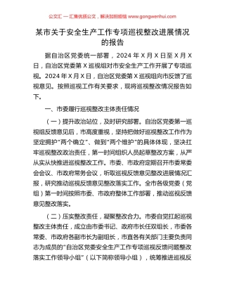 某市关于安全生产工作专项巡视整改进展情况的报告 (2).docx