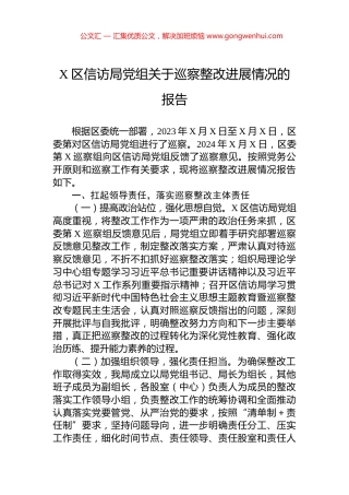 X区信访局党组关于巡察整改进展情况的报告.docx