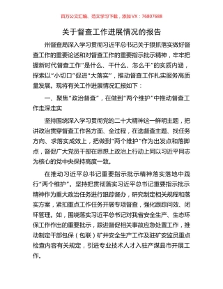 关于督查工作进展情况的报告.docx