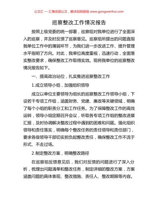 巡察整改工作情况报告.docx
